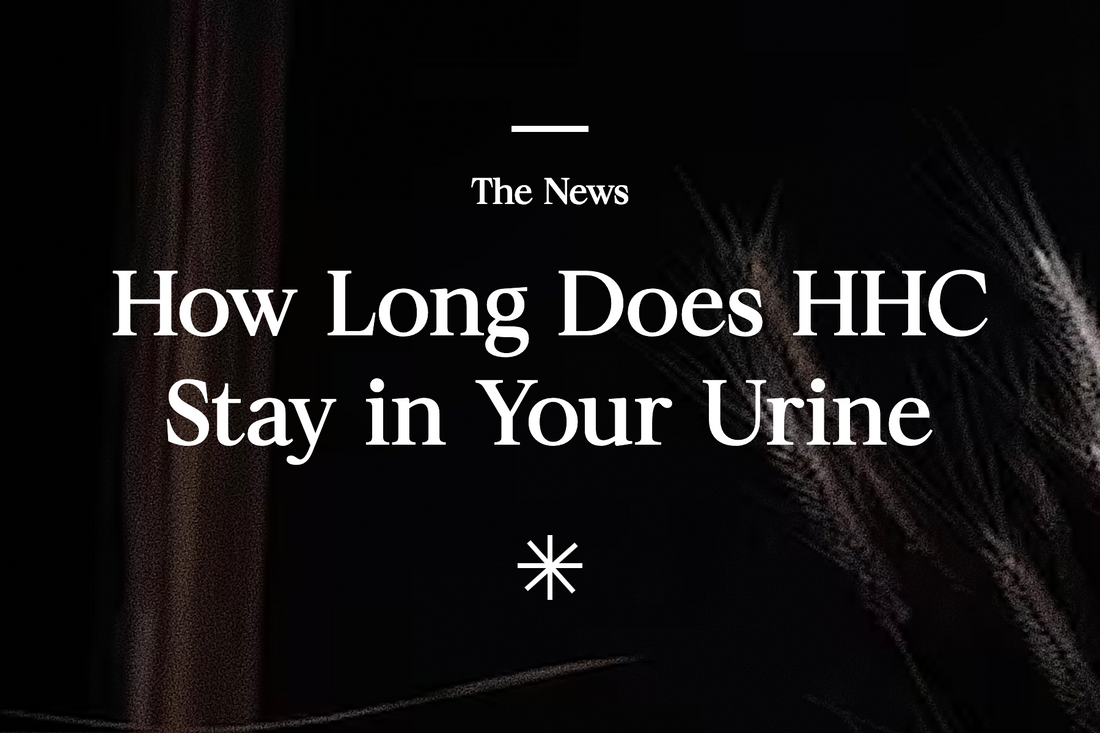 How Long Does HHC Stay in Your Urine