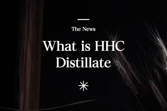 what is hhc distillate